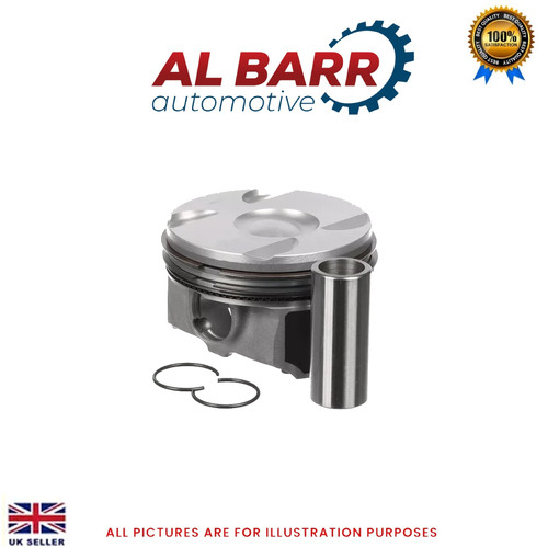 Piston with rings - piston, for