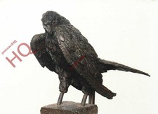 Picture Postcard~ Giambologna