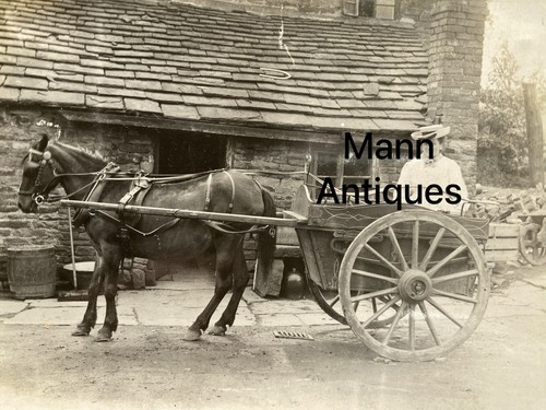 Horse cart farming yard - farming,