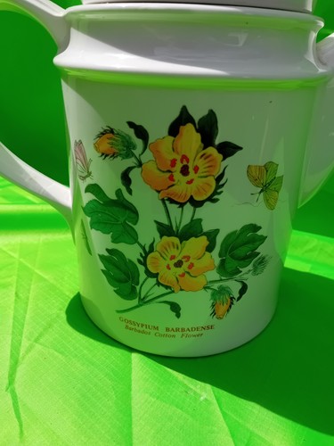 Portmeirion botanic garden - botanic,