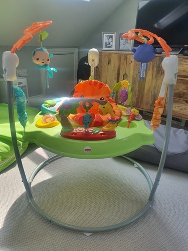 Fisher price baby bouncer - fisher-price,