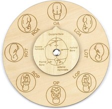 Midwife fetal position tool, carved wooden fetal position wheel for student midw