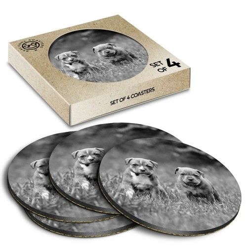 Boxed round coasters - x,