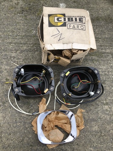 Citroen dyane headlight bowls - citroen,