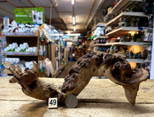 Small/Medium Mopani Wood