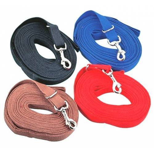 Kincade lunge rein horses - horses, &