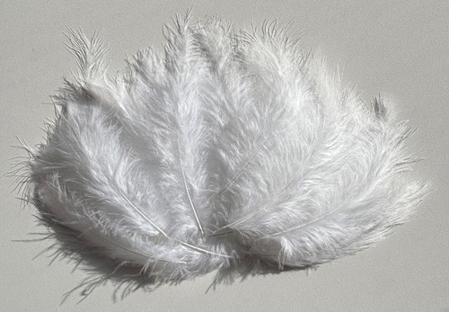 Marabou feathers pack - 20,