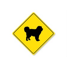 Caucasian Shepherd Dog Dog