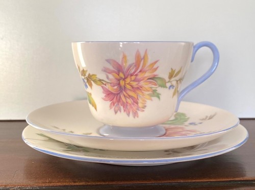 Shelley bone china - bone,