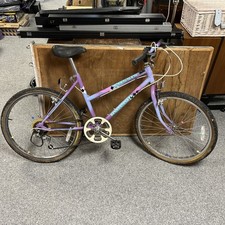 Vintage Raleigh Bike 