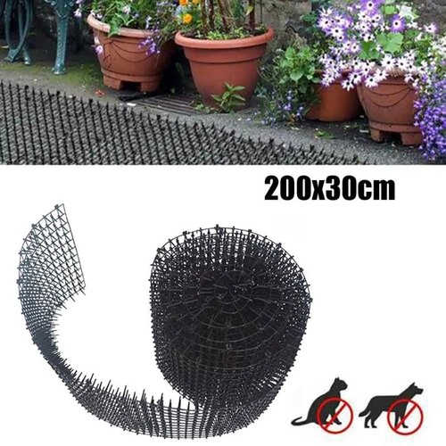 Cat scat mat - scat, spike