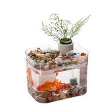 quarium Starter Kit with Air