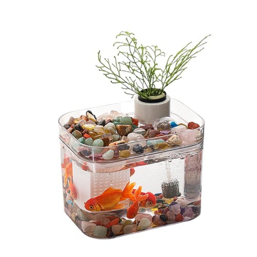 Quarium starter kit with - kit, air