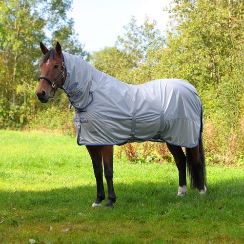 New with tags shires - new,