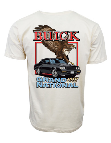 Buick grand national - buick,