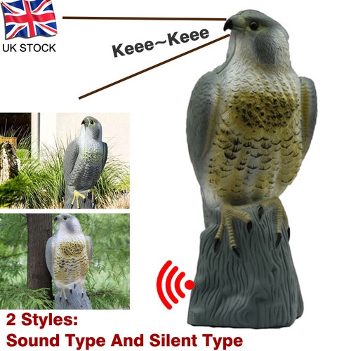 Garden fake eagle - garden,