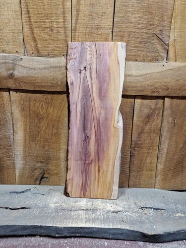 Live edge yew slab - ,