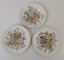 Vintage Johnson Bros Garden