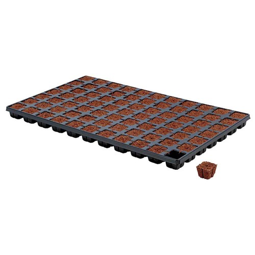 Eazy plug organic propagation - plug,