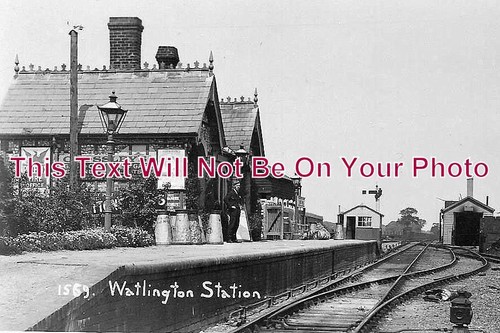 Watlington railway - ox, 45