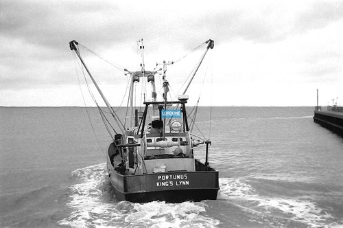 Ships film negative - film, negative: