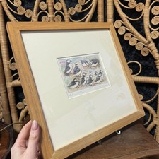Signed Peter Partington Puffin