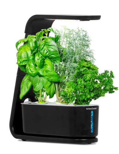 Aerogarden sprout black - sprout,