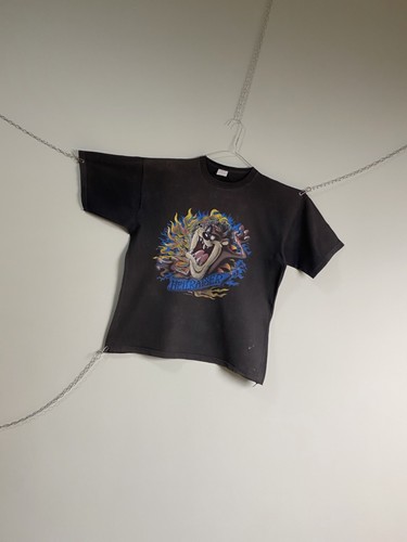 Vintage 1993 taz - vintage,
