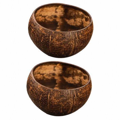 Natural coconut shell - 2,