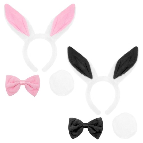 White rabbit fancy - rabbit, bunny