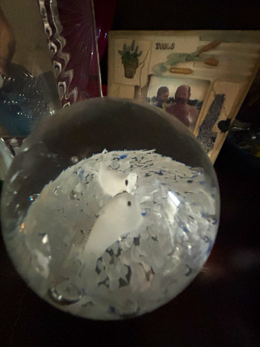Polar bear decorative glass - polar,