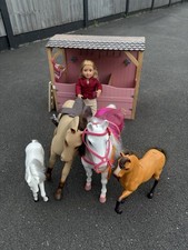 My Generation, Saddle Up Stable, 4 Horses, 1 Rider