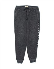 HOLLISTER Mens Graphic