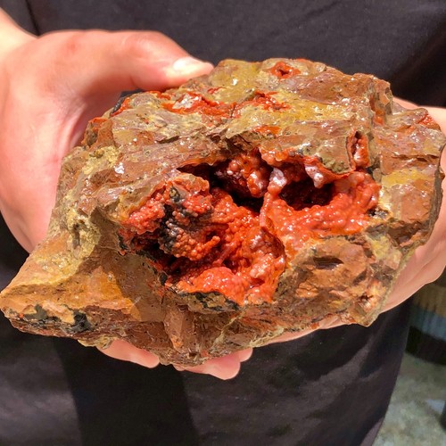 66lb rare natural red - rare,