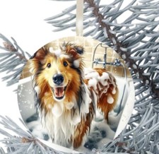 Rough Collie Dog Hanging