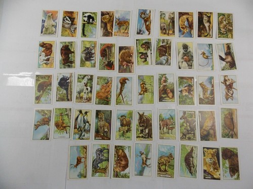 Gallaher cigarette cards wild - cigarette,