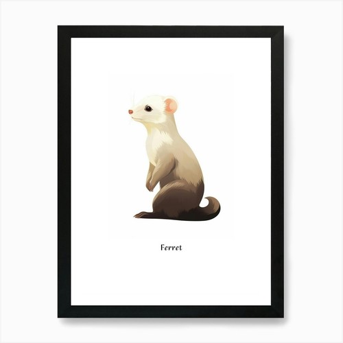 Ferret kids animal - kids, poster