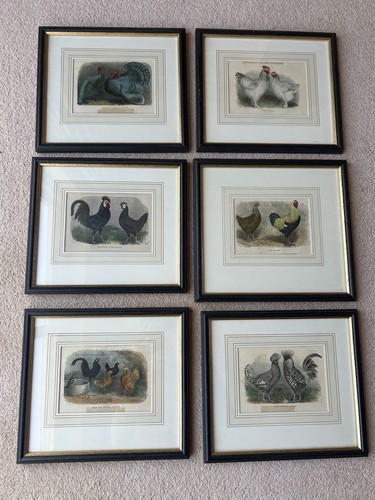 Set antique victorian - antique,