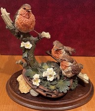 Country Artist “ First Dawn