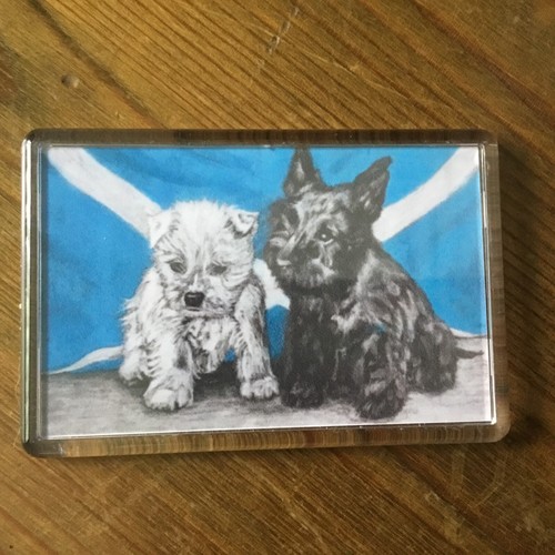 Scottish pups scottie - scottish, westie