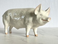 Beswick Boar CH Wall Champion Boy 53, Pig Figurine in gloss, model no. 1453A VGC