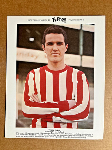Typhoo tea terry paine - typhoo,