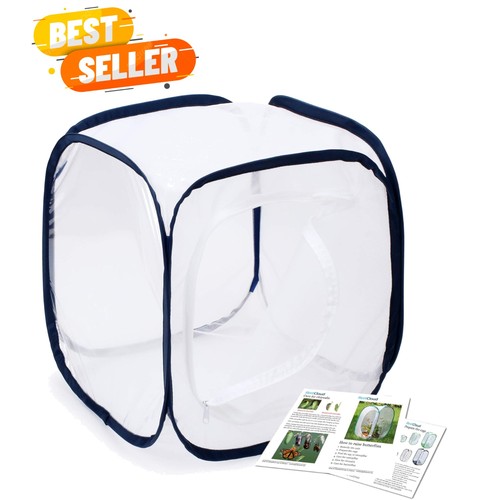 Revolutionary insect habitat - revolutionary,