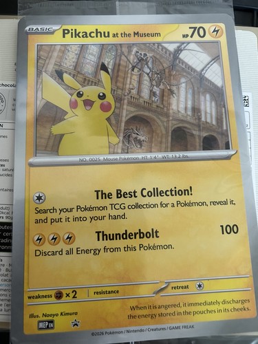 Pokémon tcg pikachu - pikachu, at