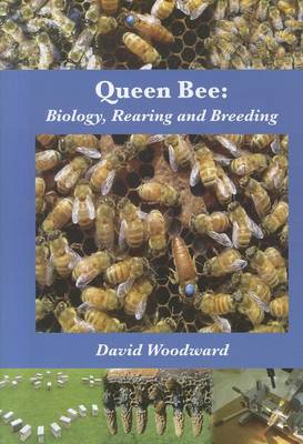Queen bee biology - bee:, rearing