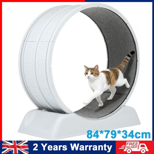 Cat exercise wheel large - exercise,