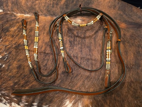 Western headstall and reins - and,