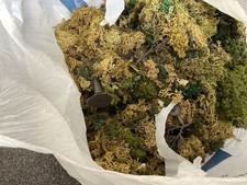 Model Railway Massive Lot Of Foliage Moss Type Material OO Gauge