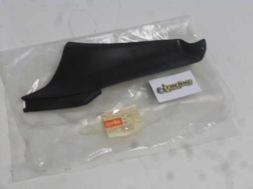 Front fairing cowl - front,