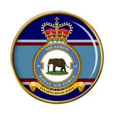 44 Squadron, RAF Pin Badge